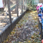 Наші дітки в зоопарку в Кичеєво