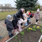 Наші заняття в садочку