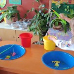 Подорож до Козаччини.