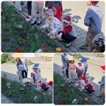 22.04.25 День Землі