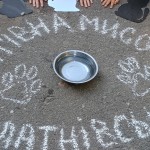 Рятівна мисочка