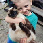 Мій чотирилапий друг