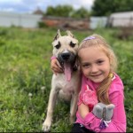 Мій чотирилапий друг