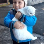 Мій чотирилапий друг