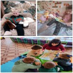 Міжнародний день дитячої книги