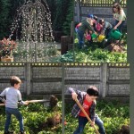 🌳Пам'ятне дерево нашої випускної групи🌳 Сьогодні наші маленькі випускники зробили щось особливе - вони посадили дерево,яке стане символом їхнього дити