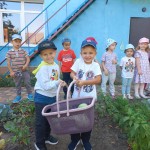 Збираємо врожай