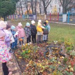 Спостереження