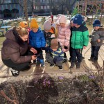 Наші прогулянки (спостереження за первоцвітами)