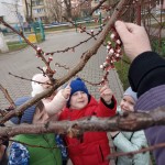 Прогулянки та спостереження