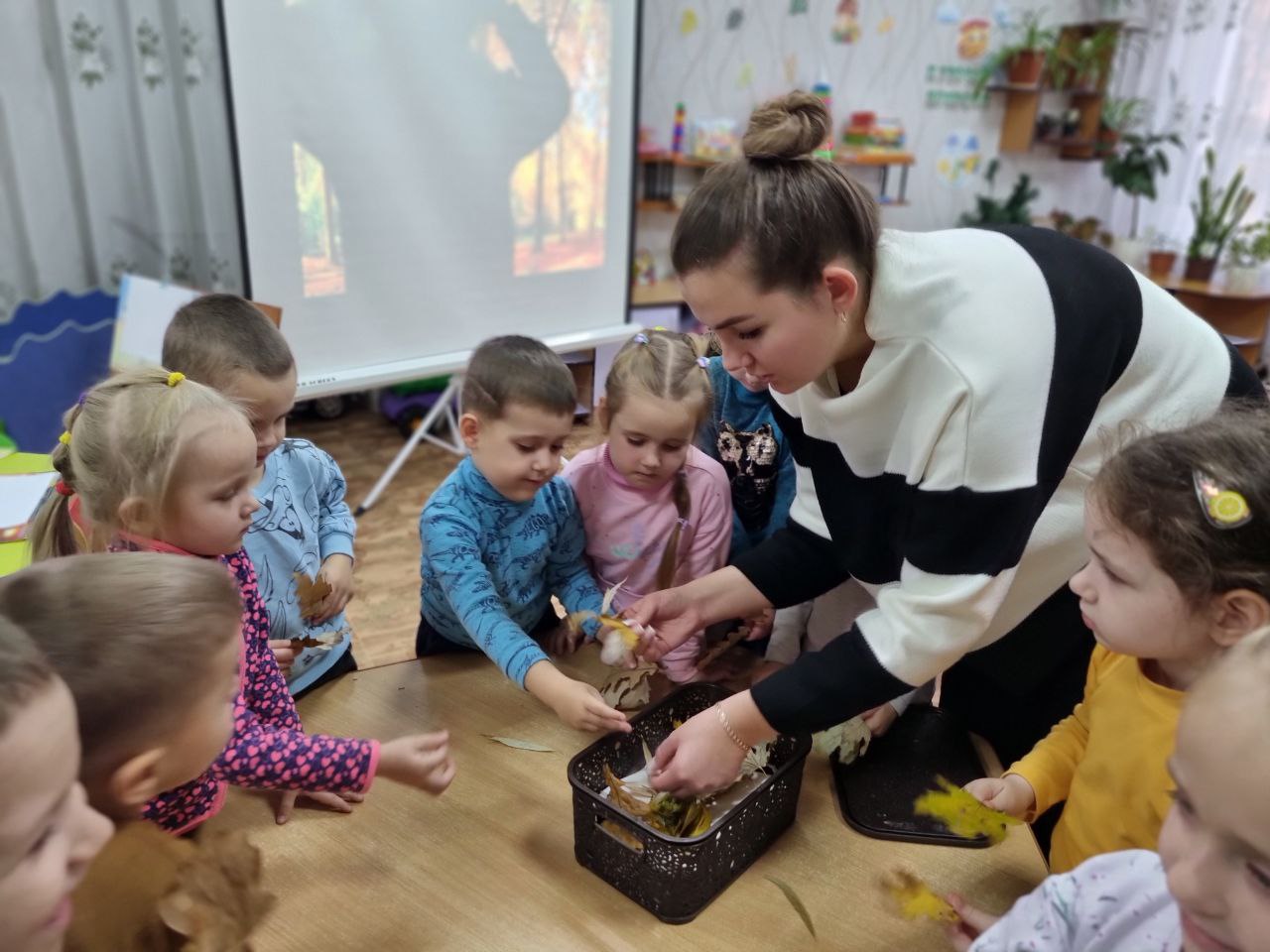 Фото без опису