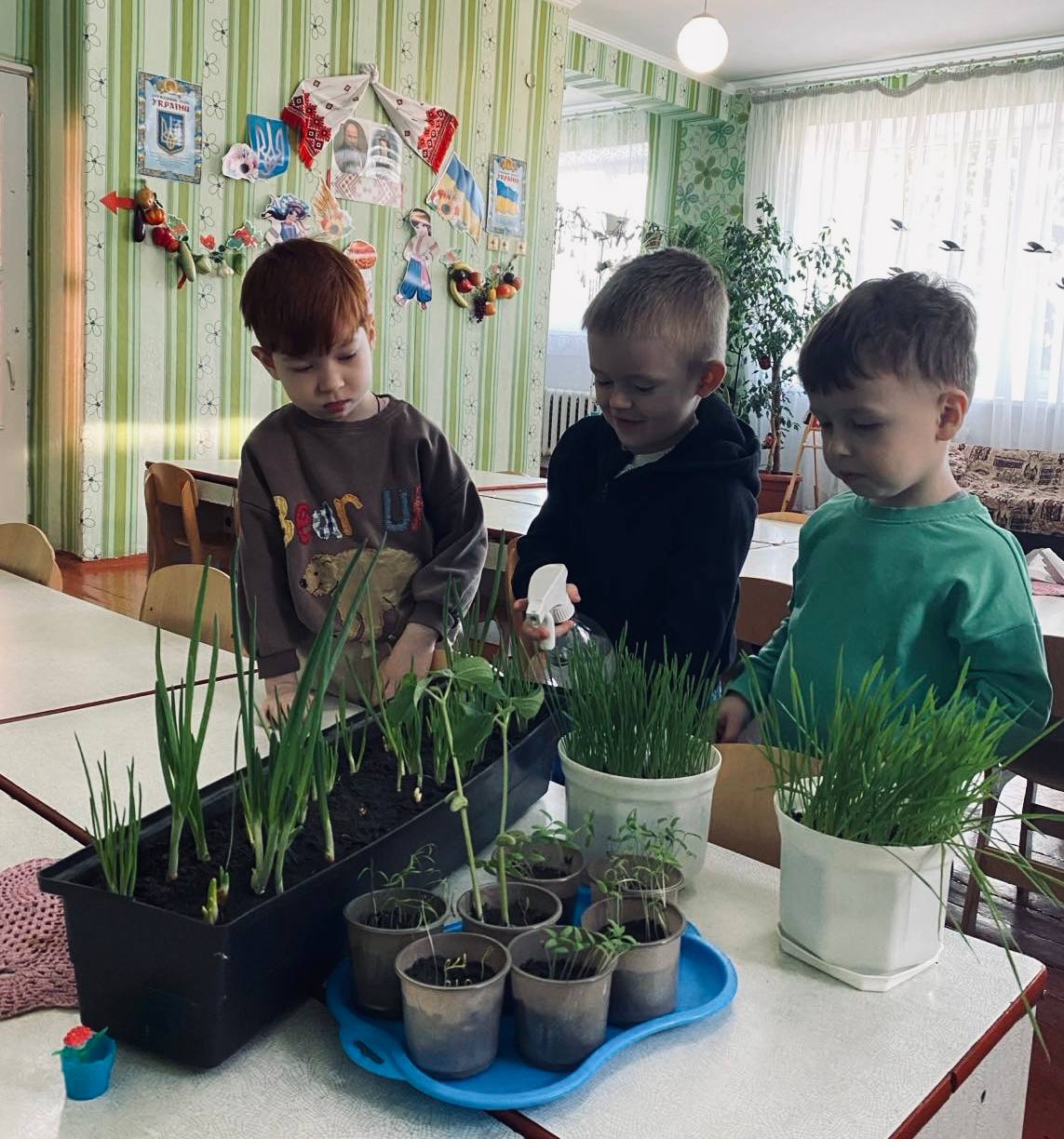 Фото без опису