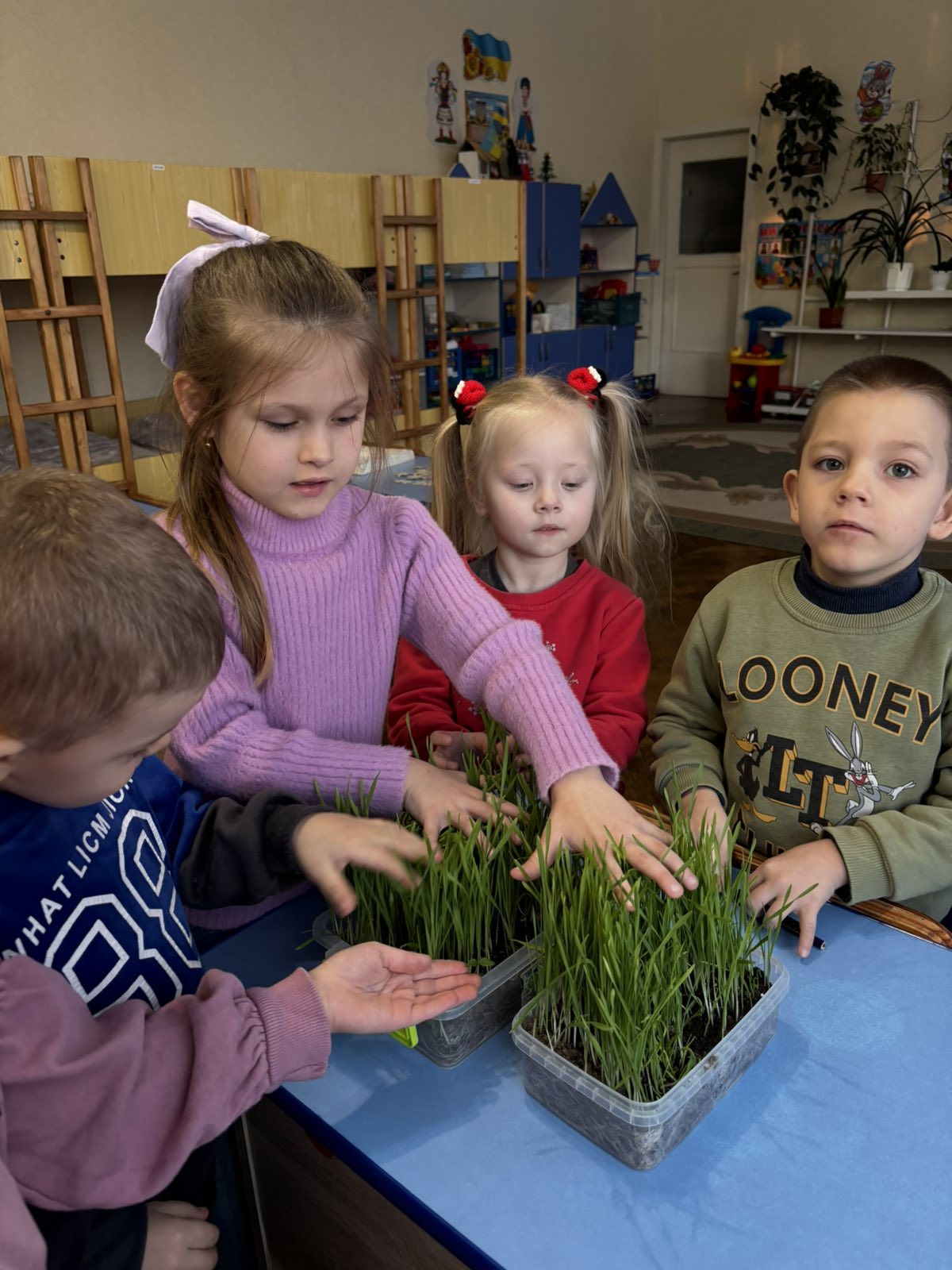 Фото без опису