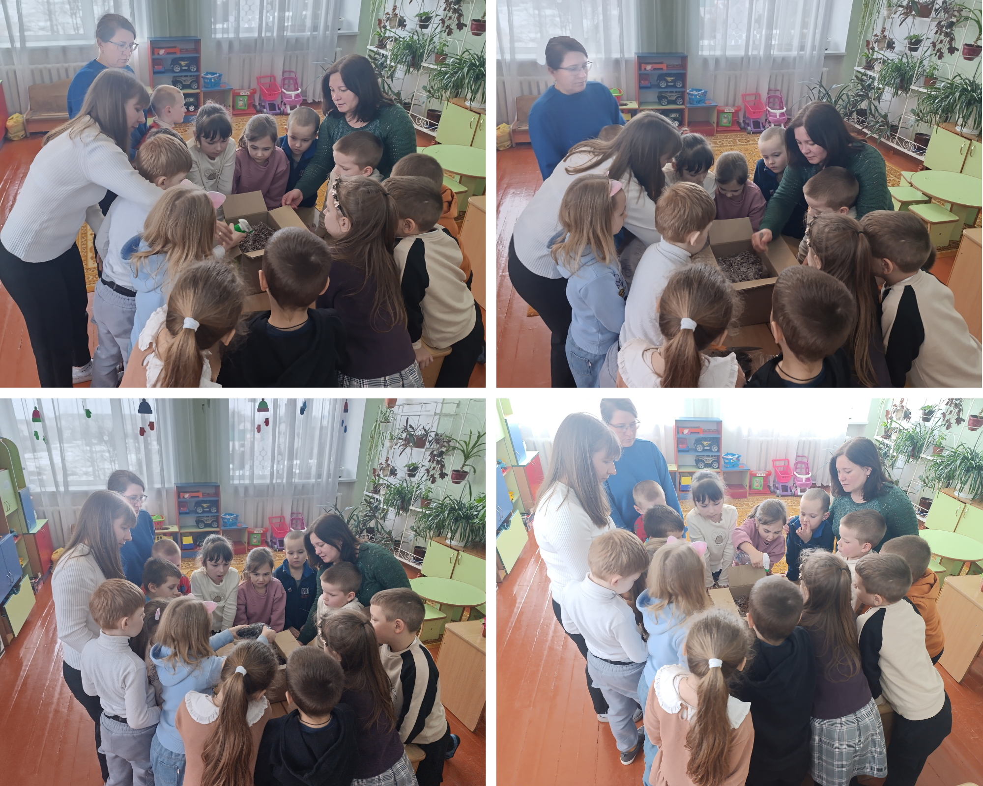 Фото без опису