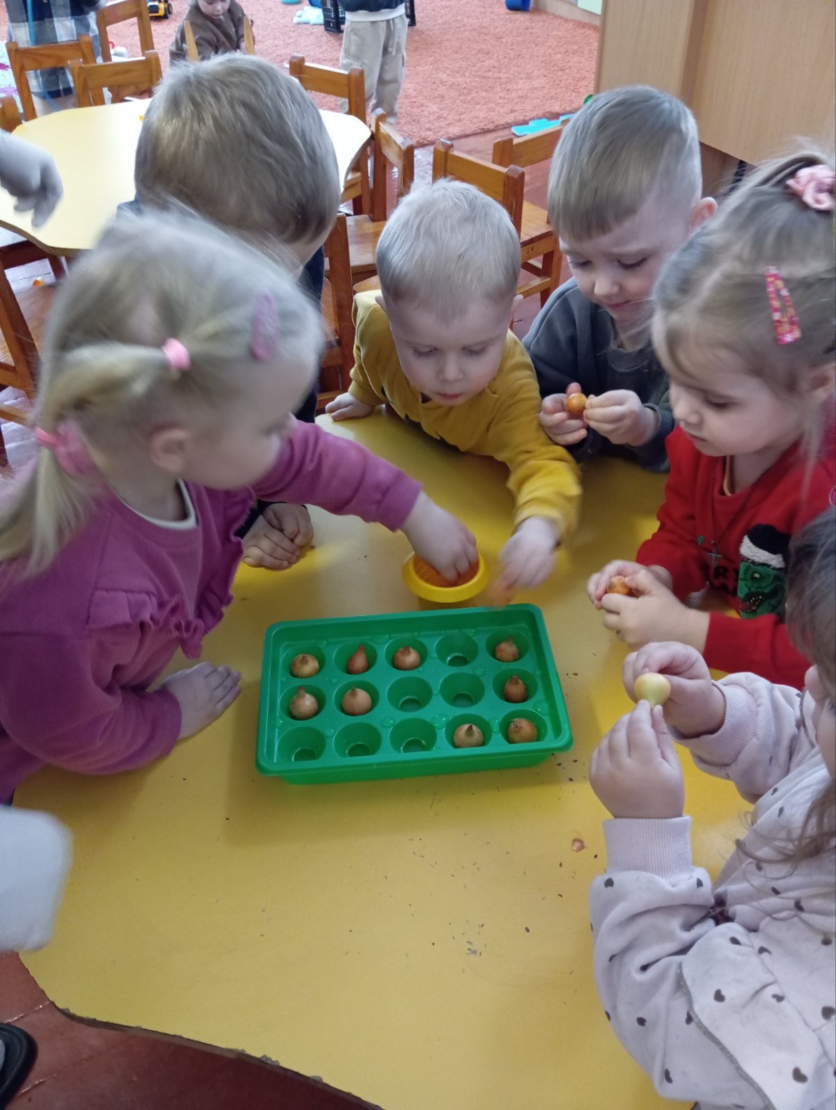 Фото без опису