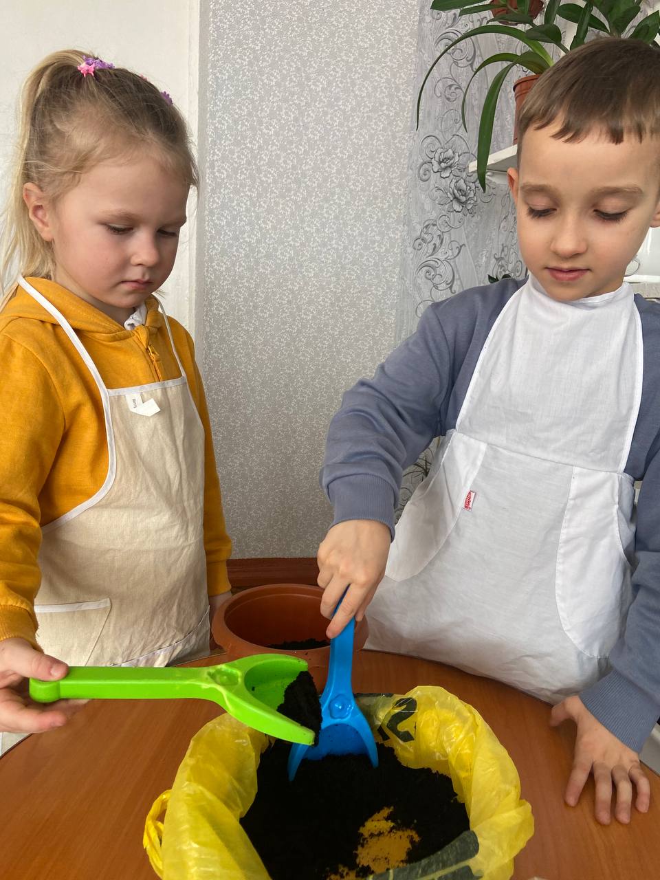 Фото без опису