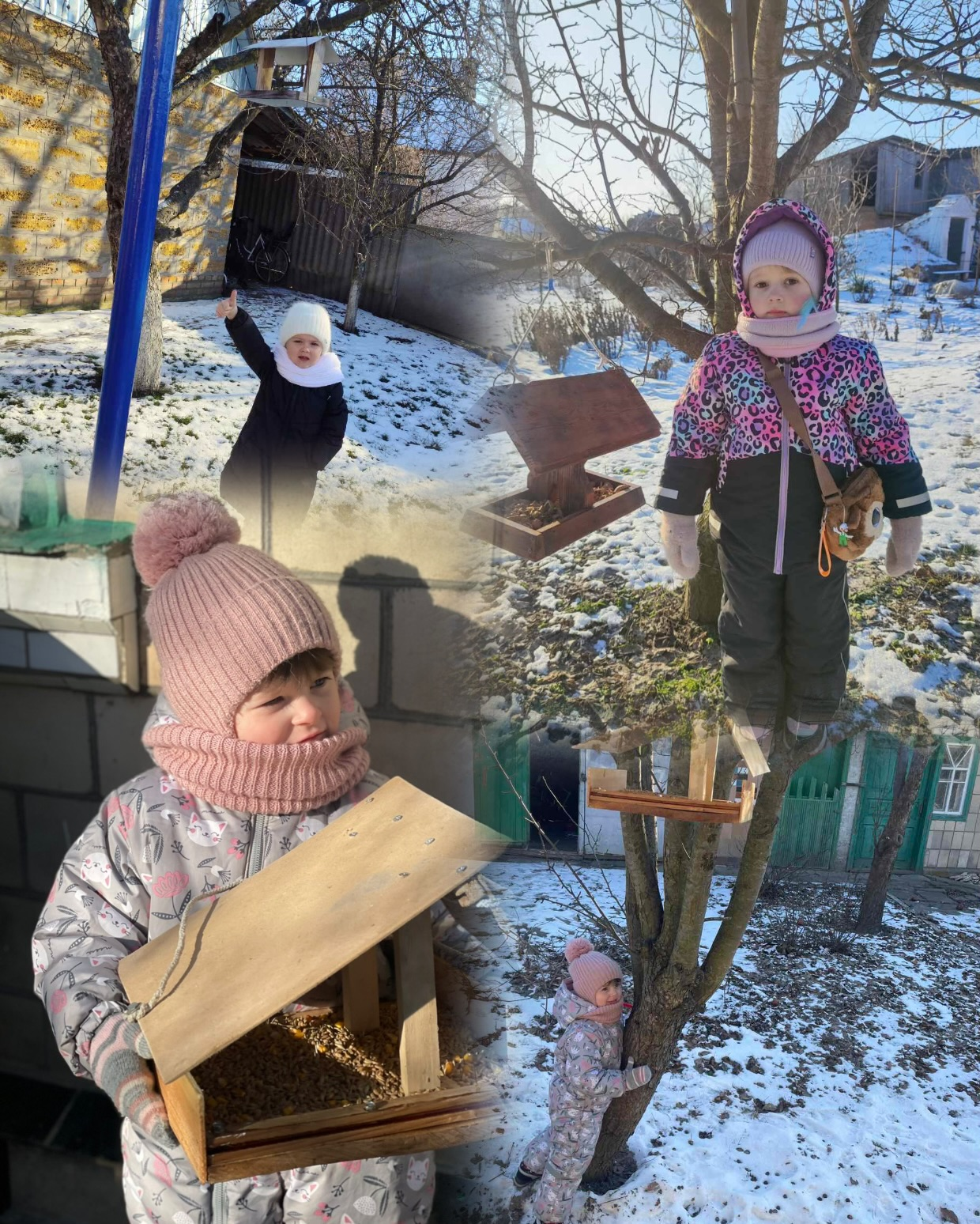 Фото без опису