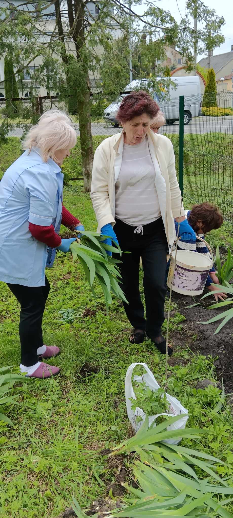 Фото без опису