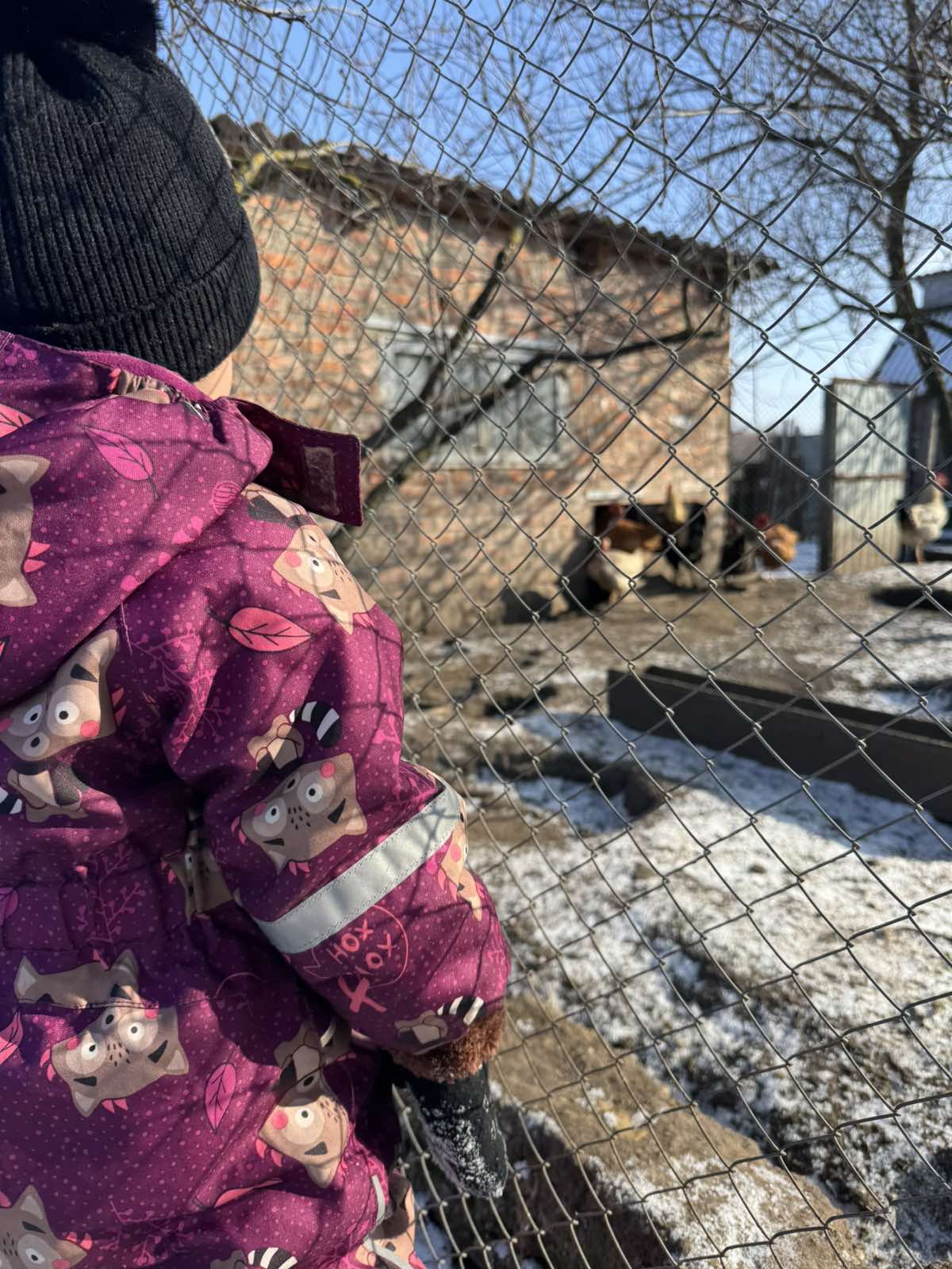Фото без опису