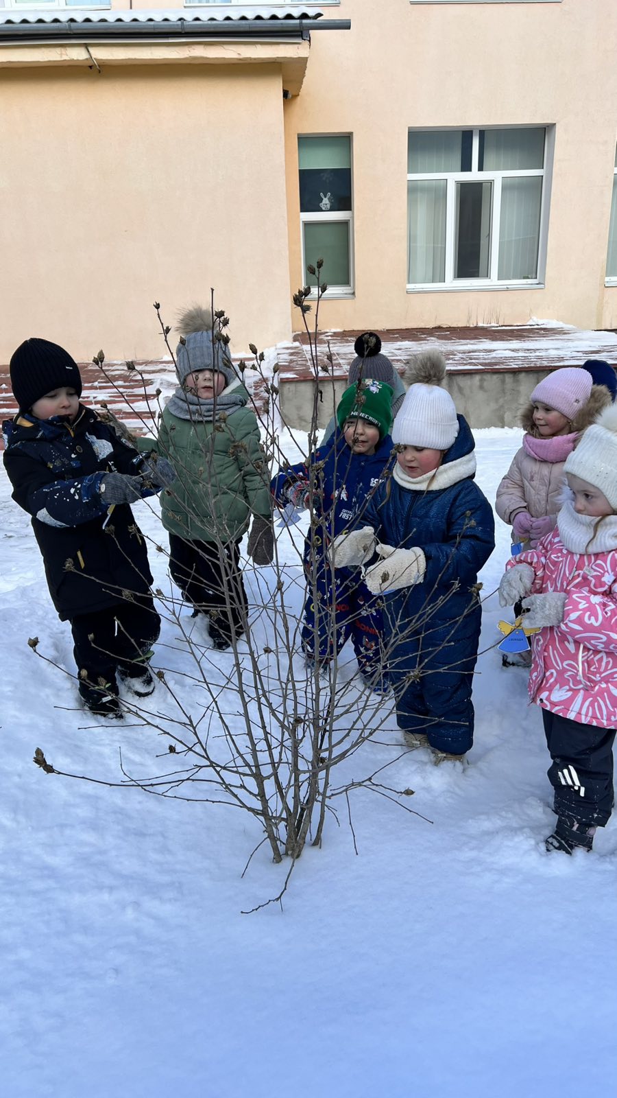 Фото без опису