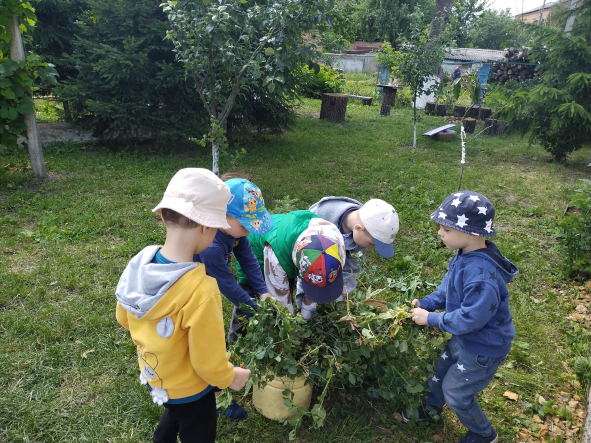Фото без опису