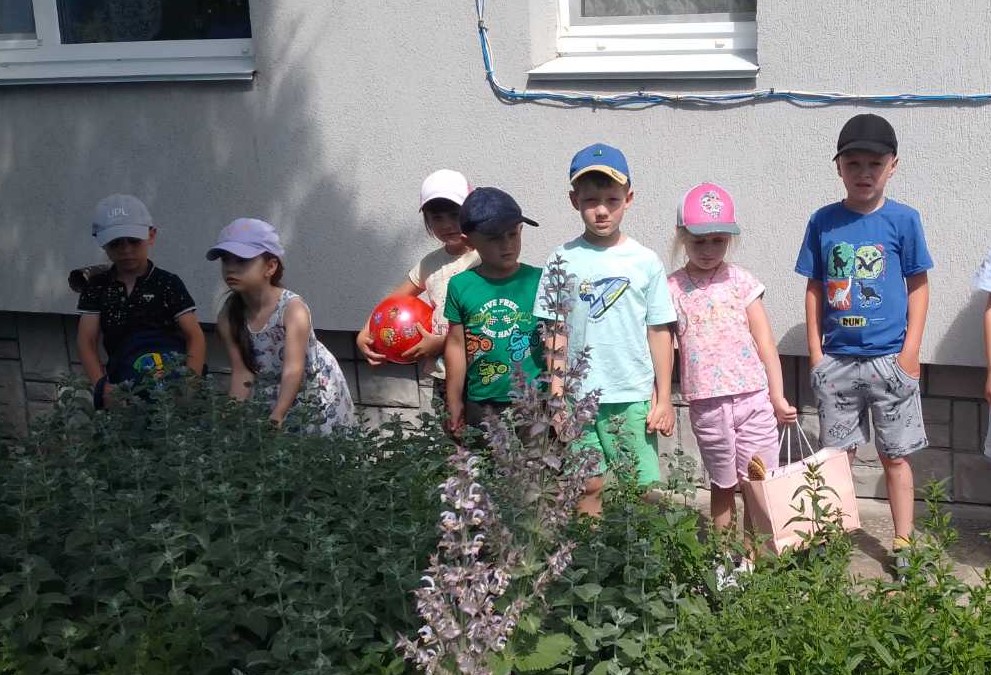 Фото без опису