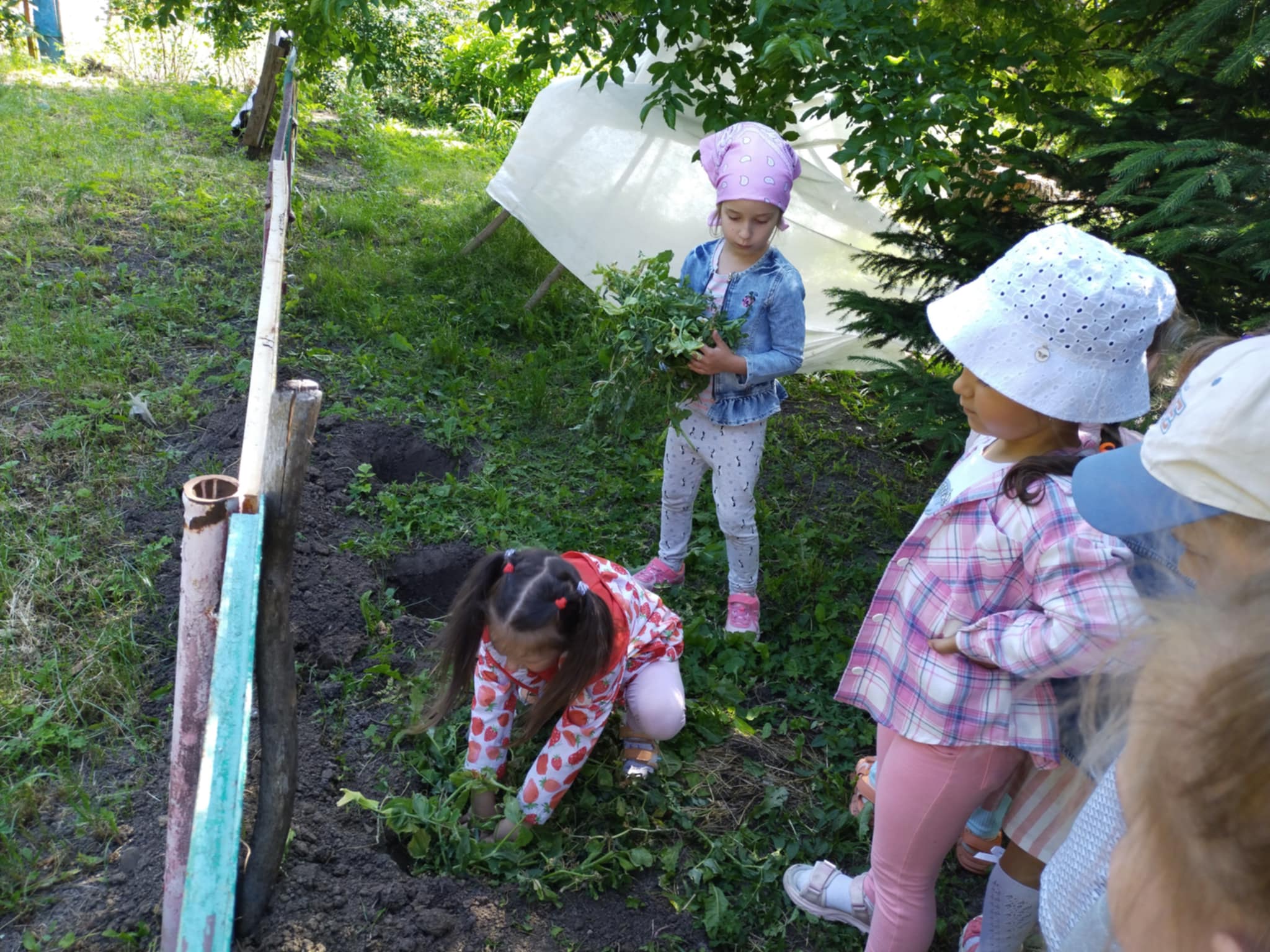 Фото без опису