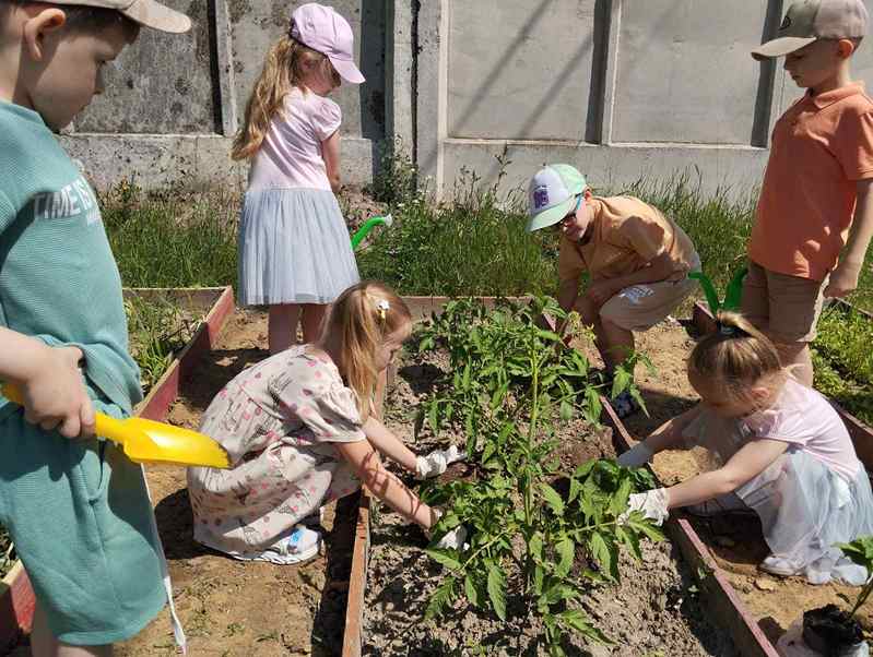 Фото без опису