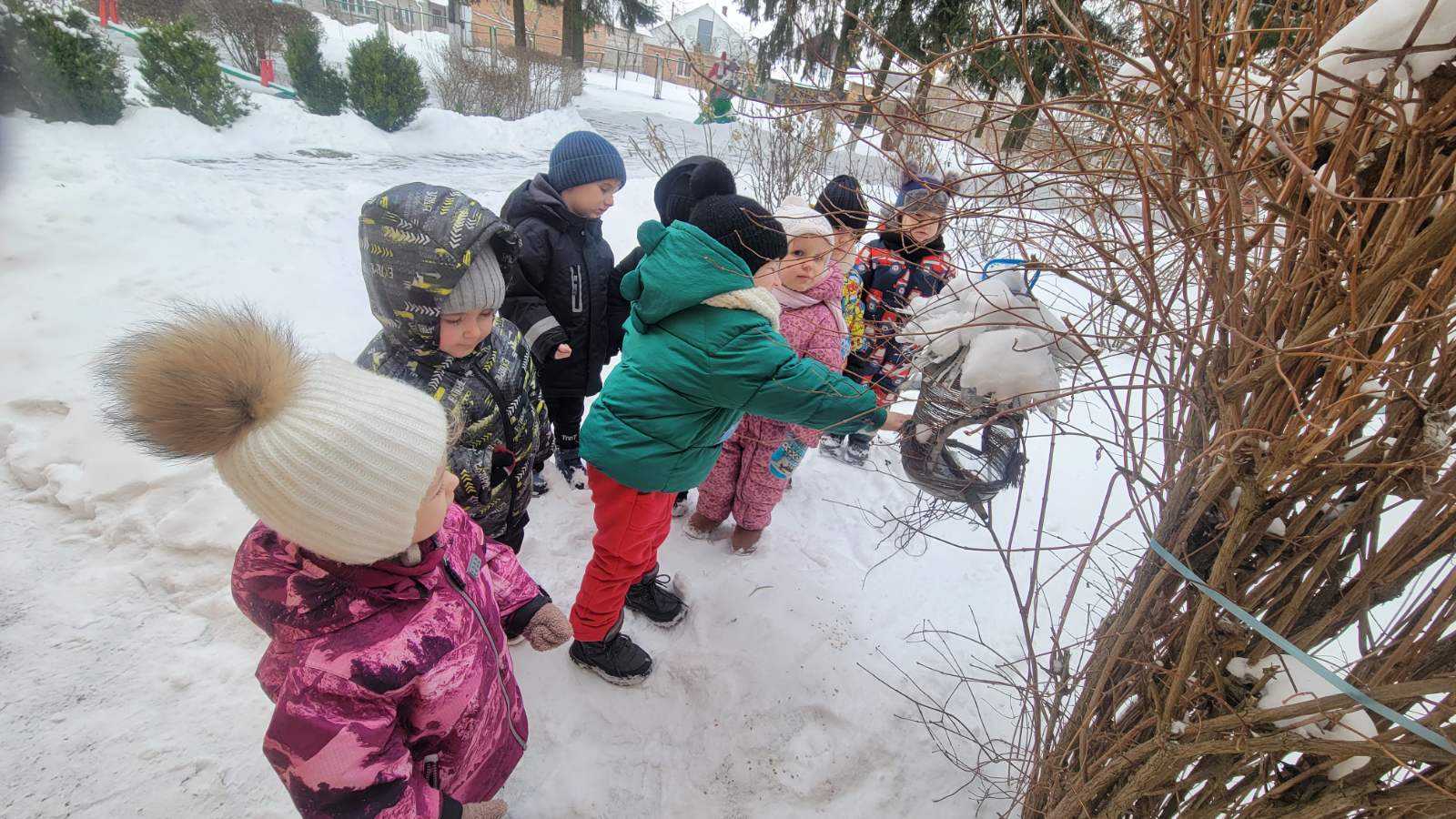 Фото без опису