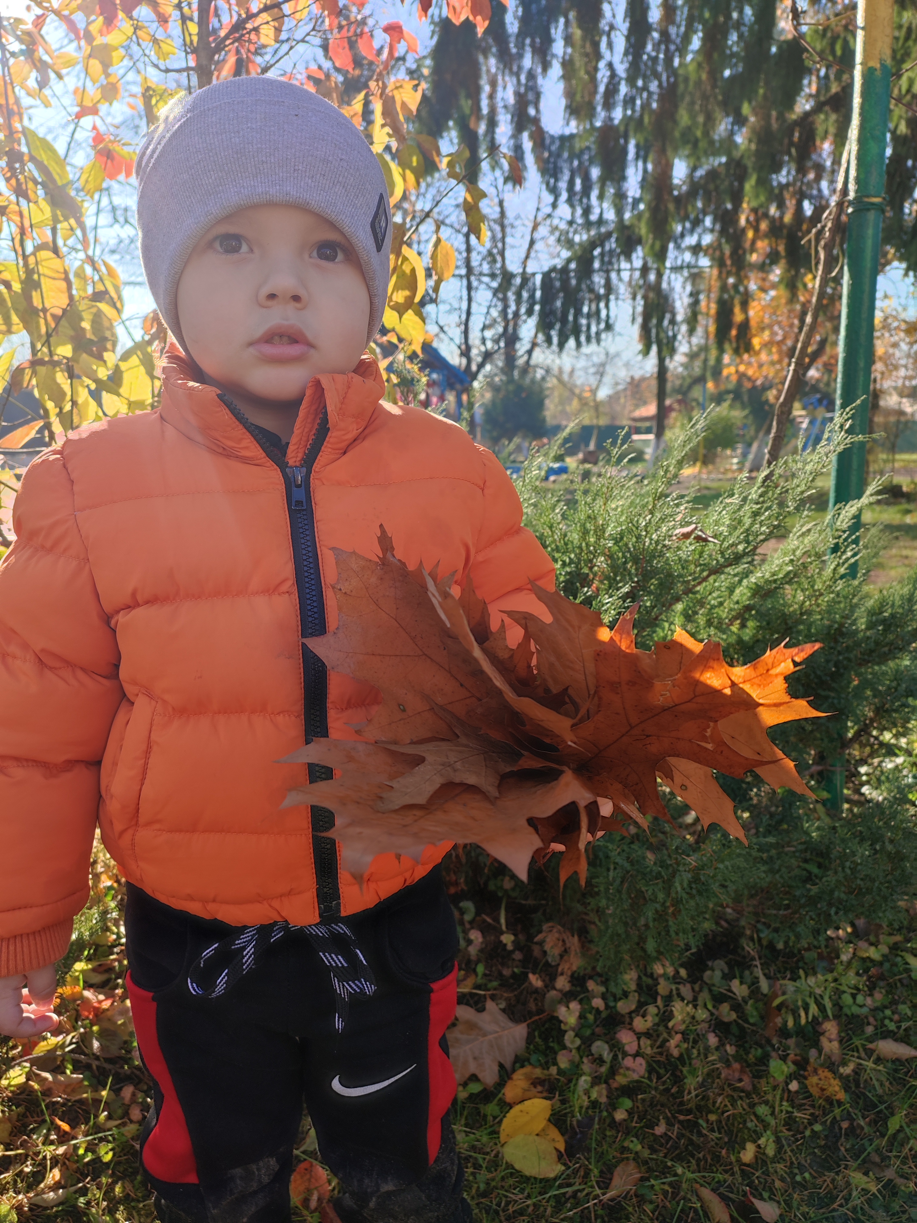 Фото без опису