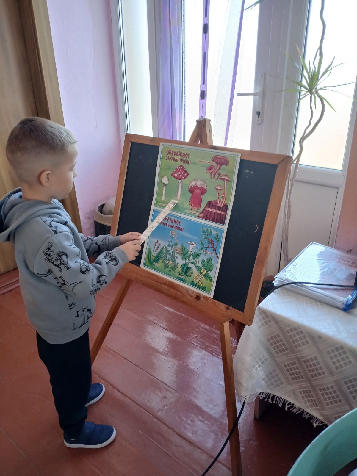 Фото без опису