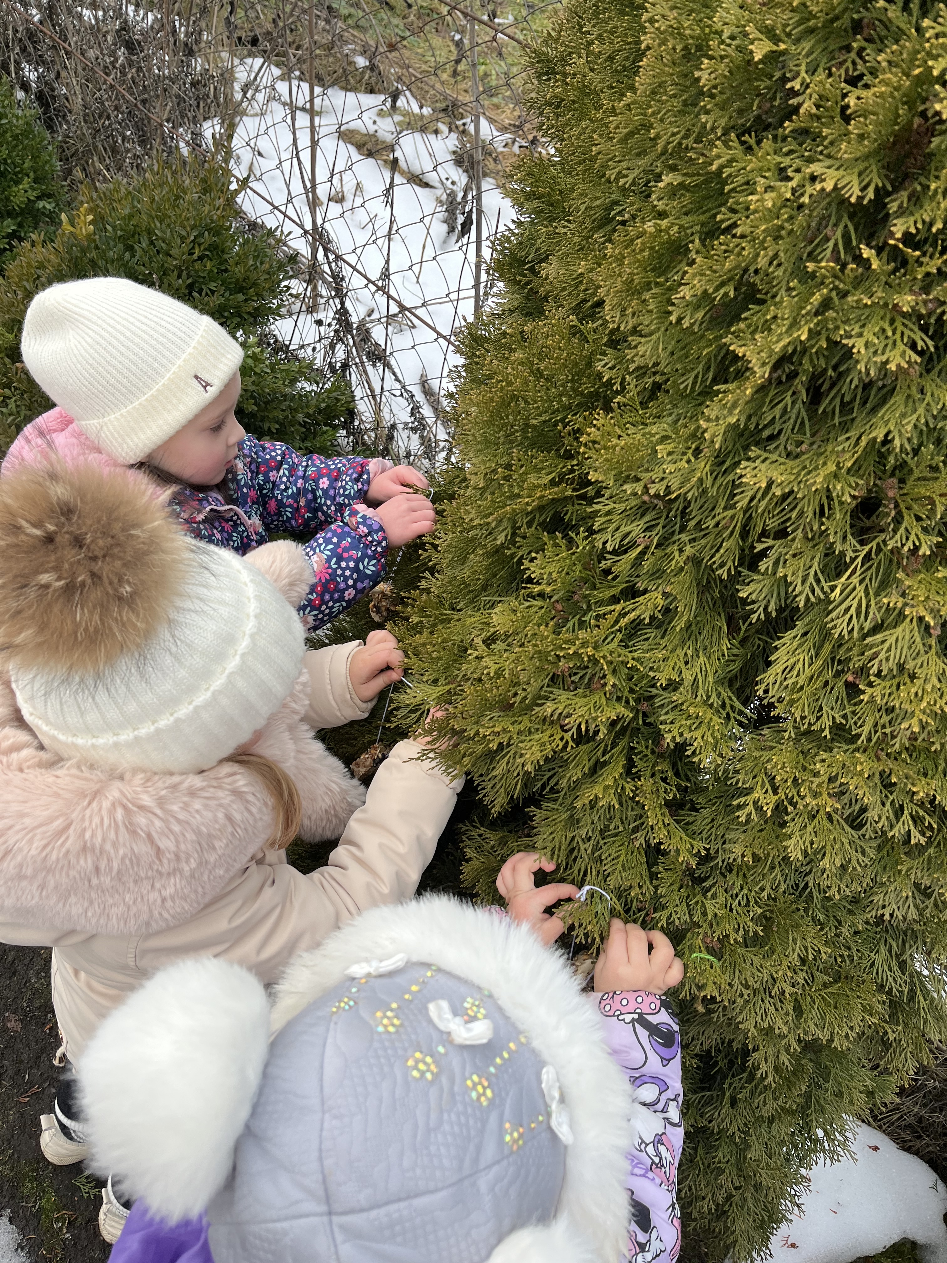 Фото без опису