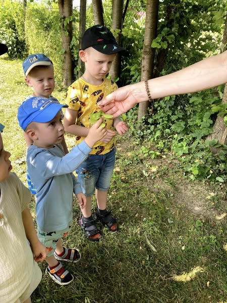 Фото без опису