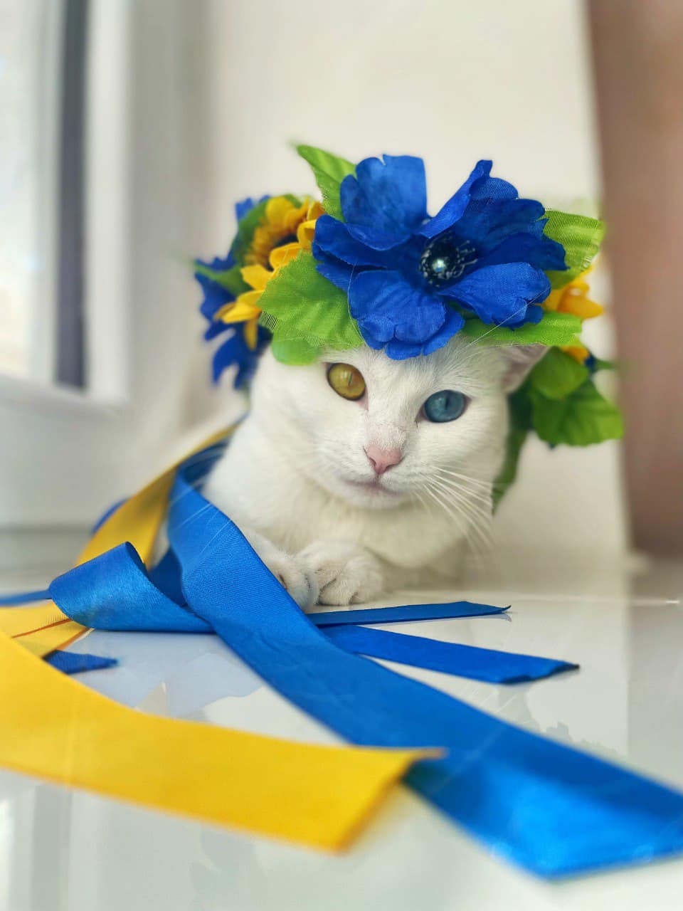 Фото без опису