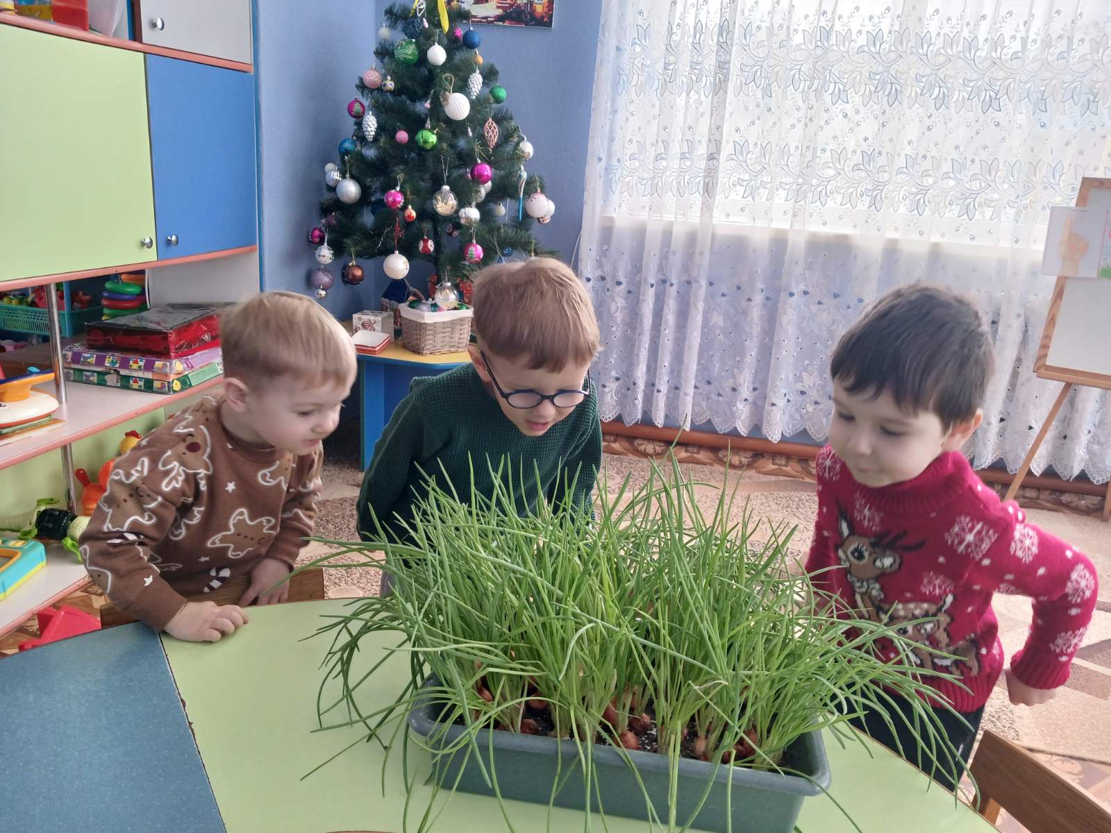 Фото без опису