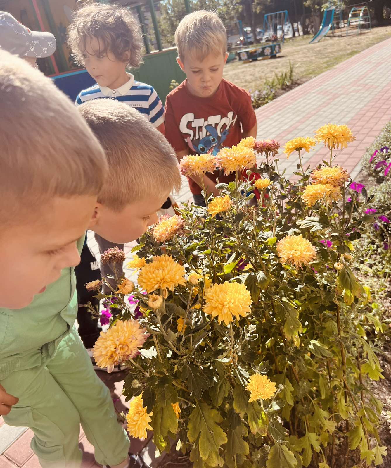 Фото без опису