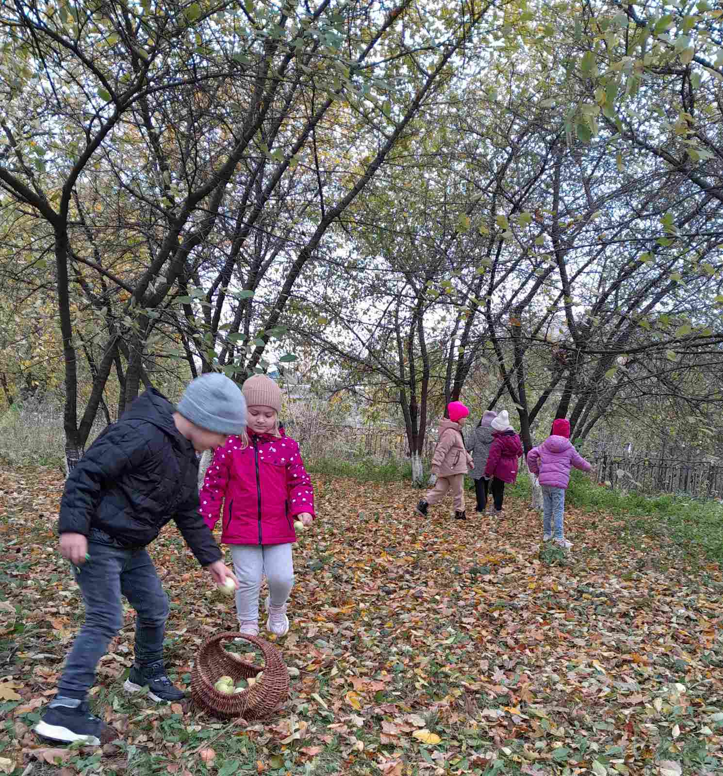 Фото без опису