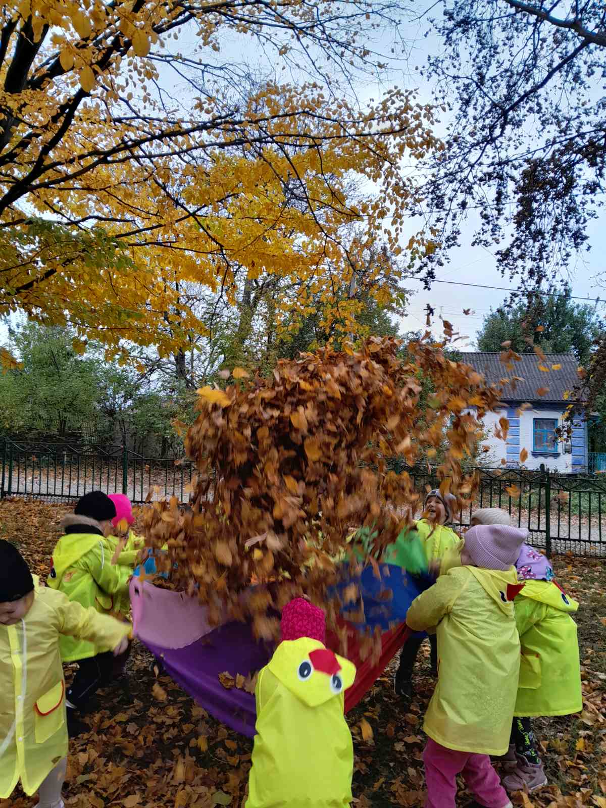 Фото без опису