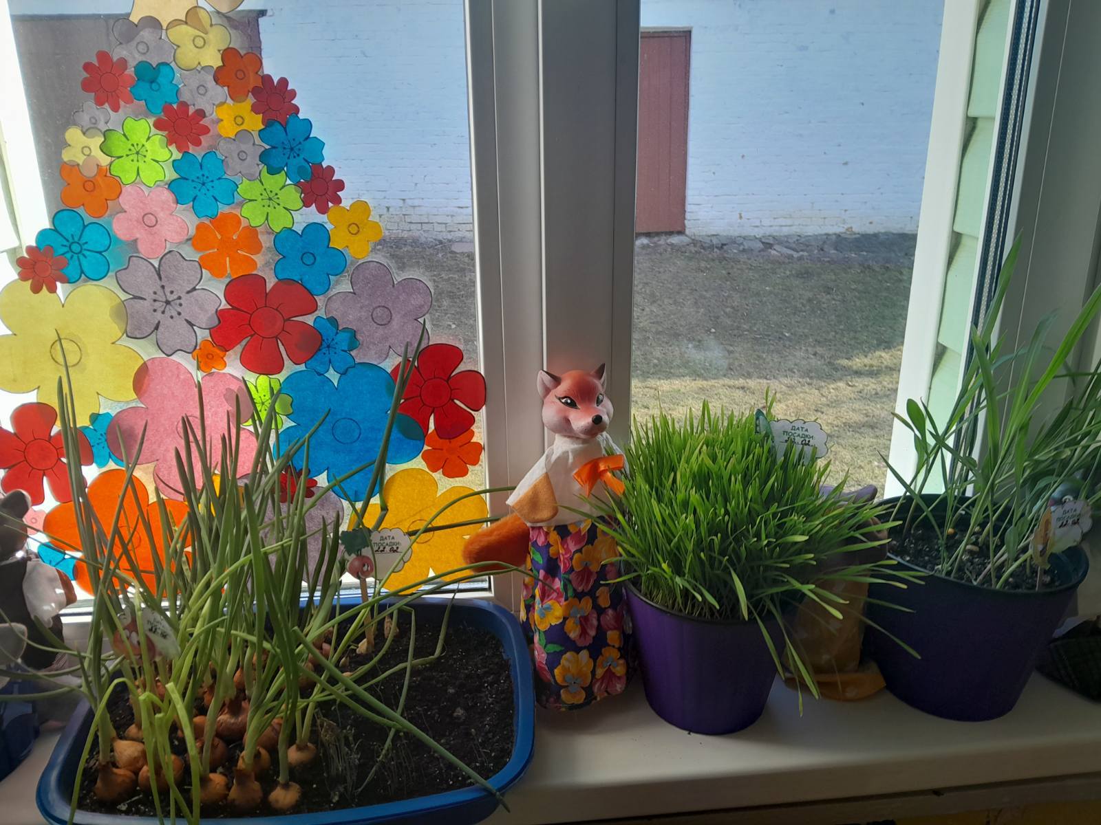 Фото без опису