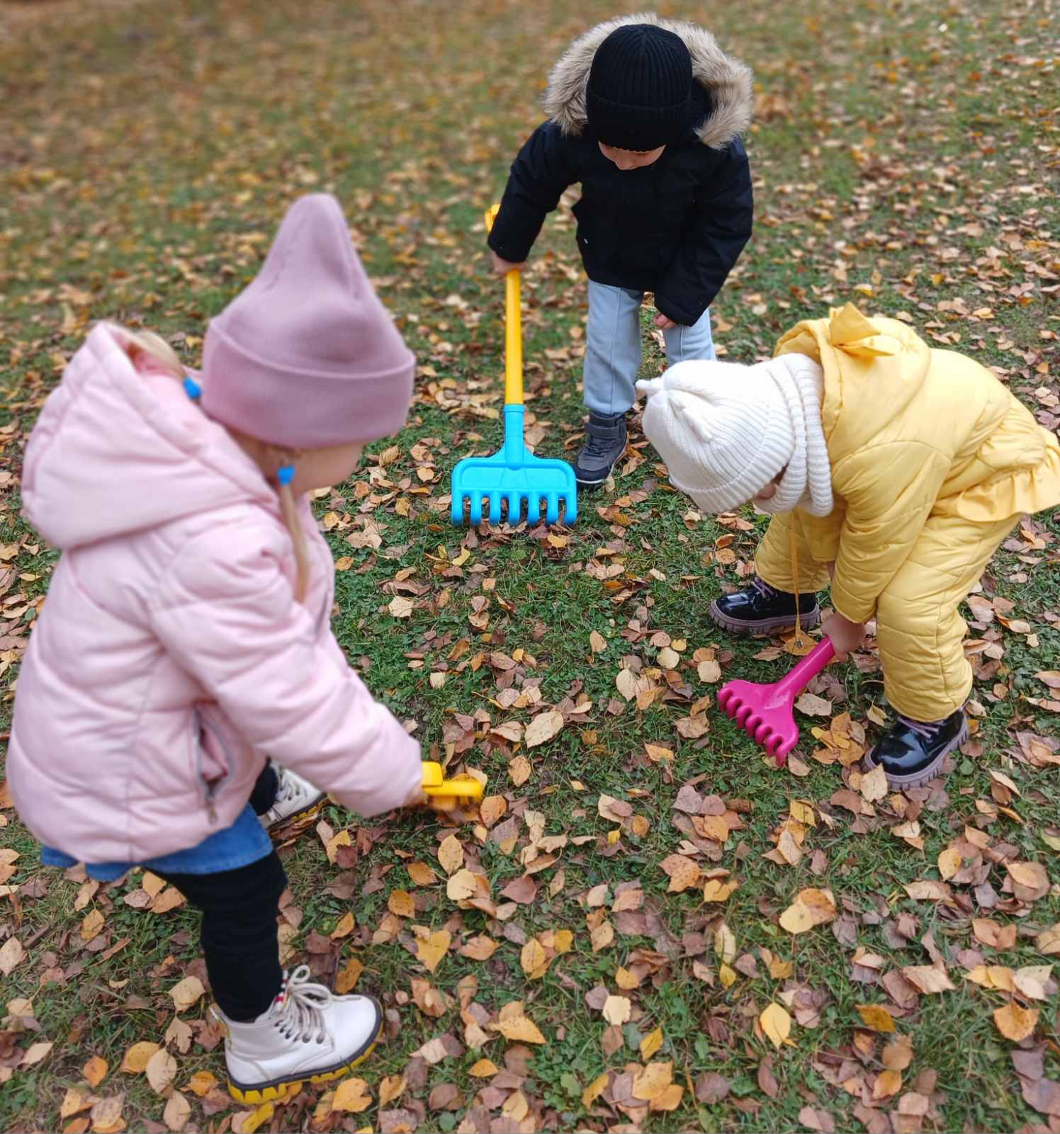 Фото без опису