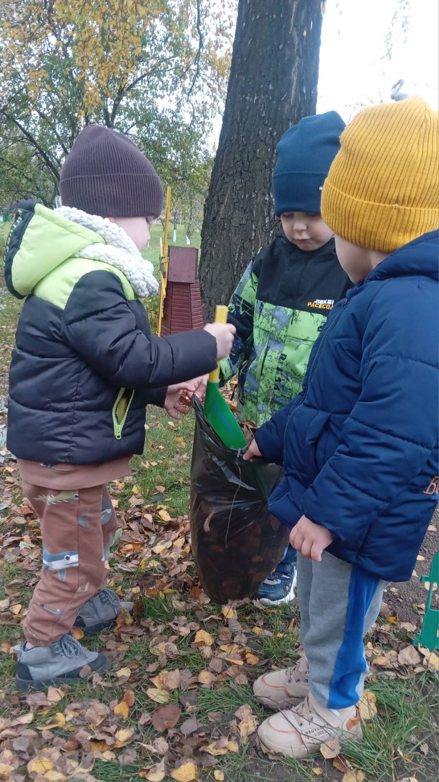 Фото без опису