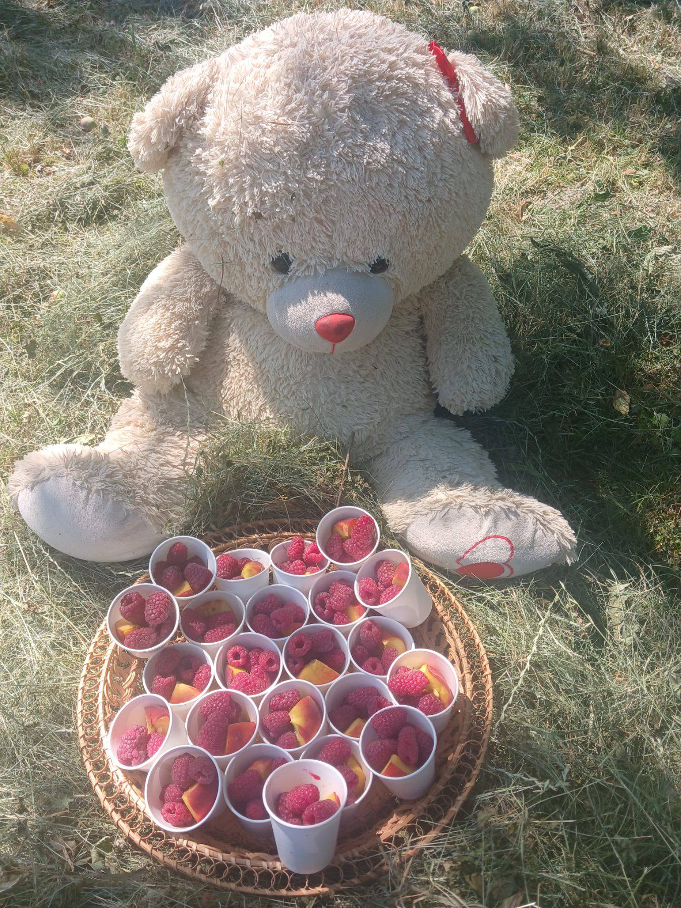 Фото без опису