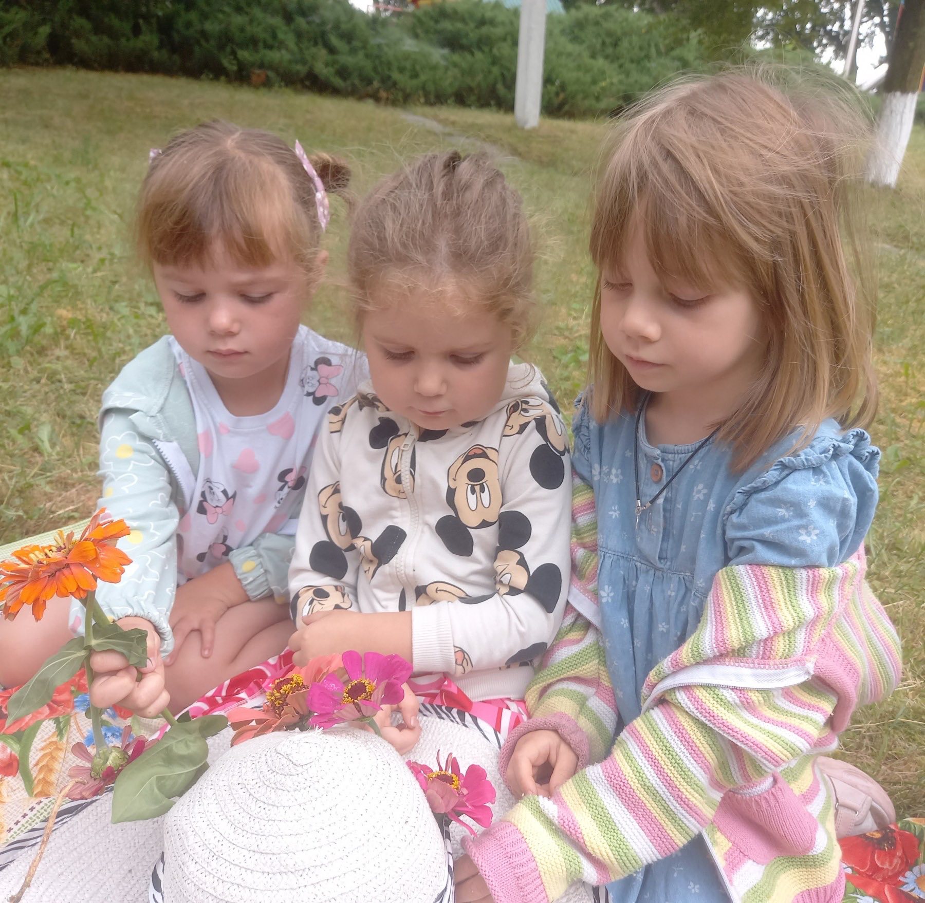 Фото без опису