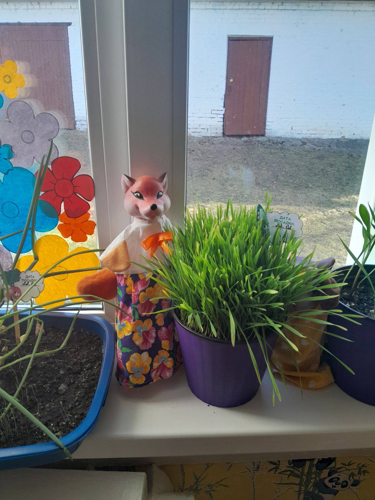 Фото без опису