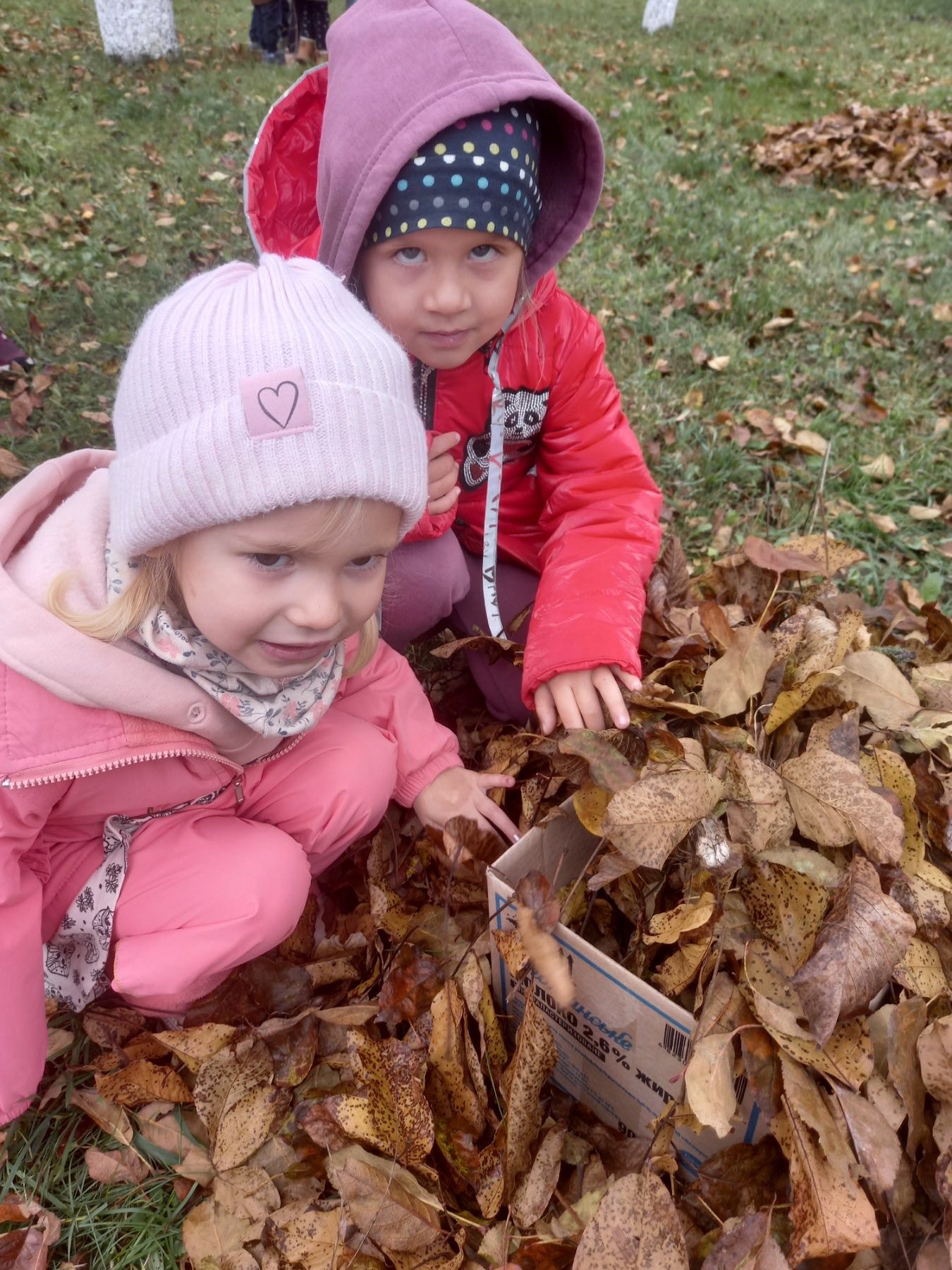 Фото без опису