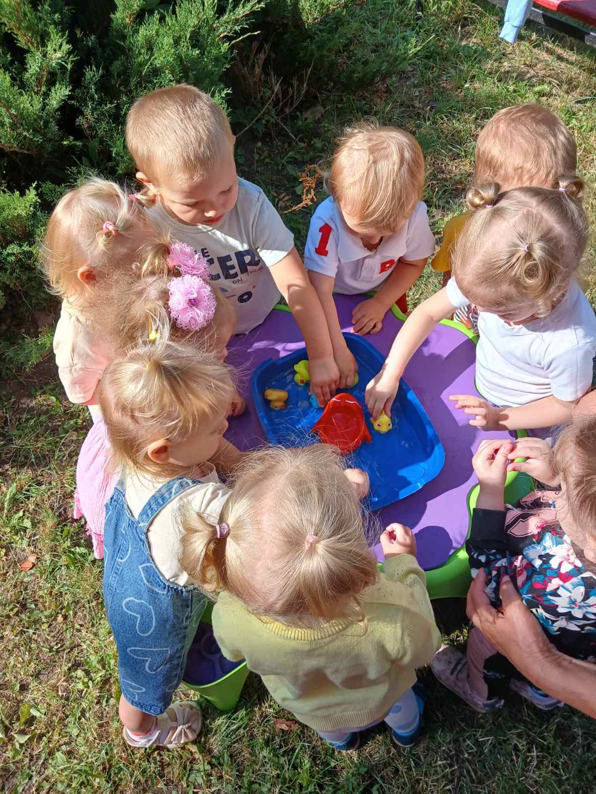 Фото без опису