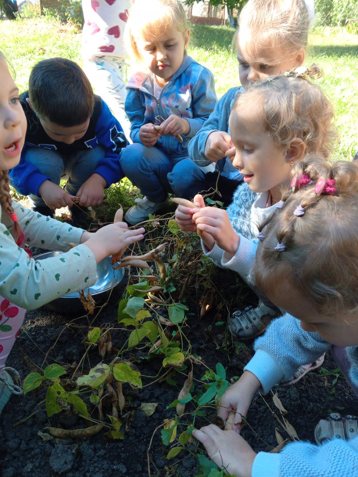 Фото без опису