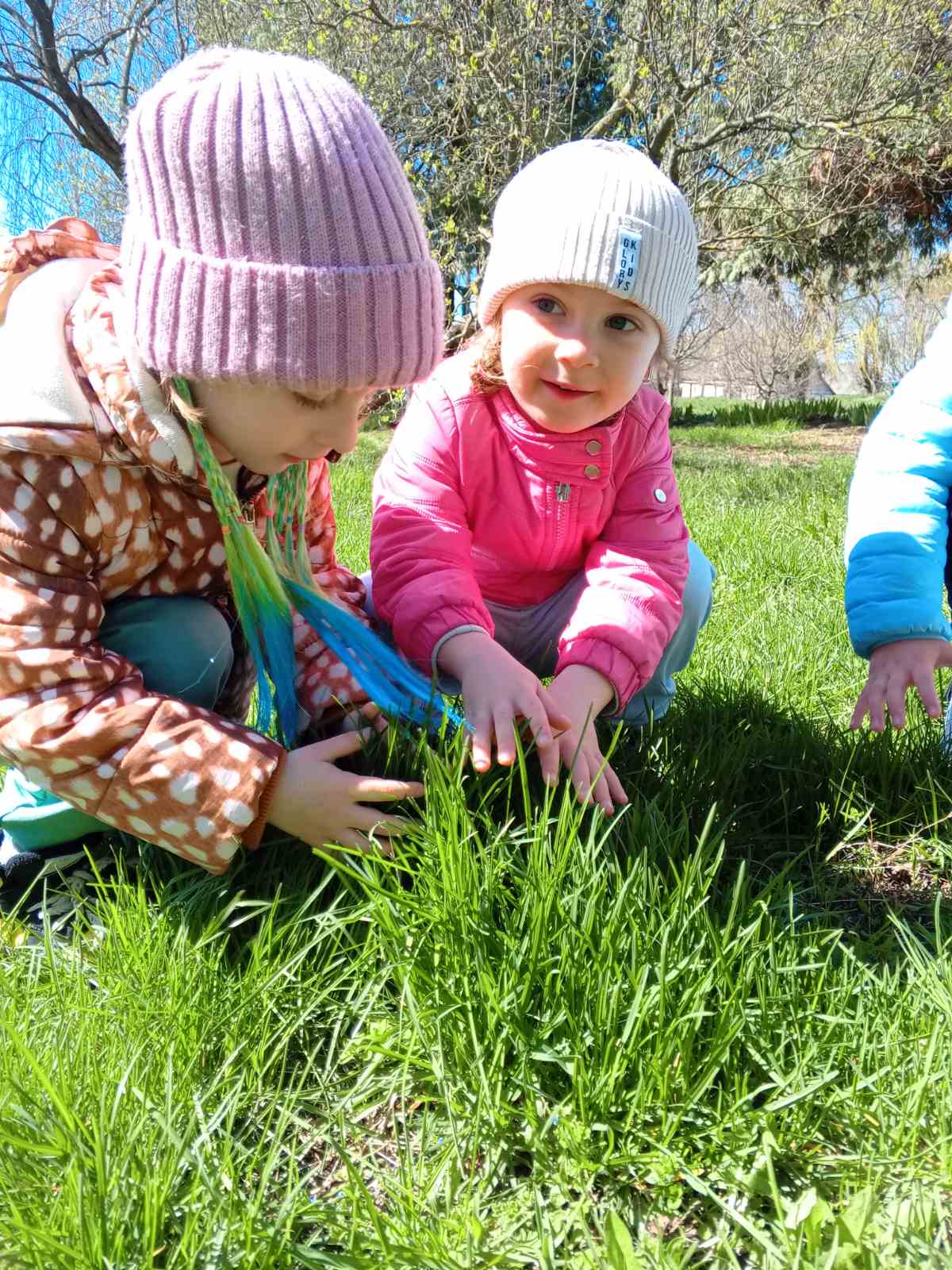 Фото без опису