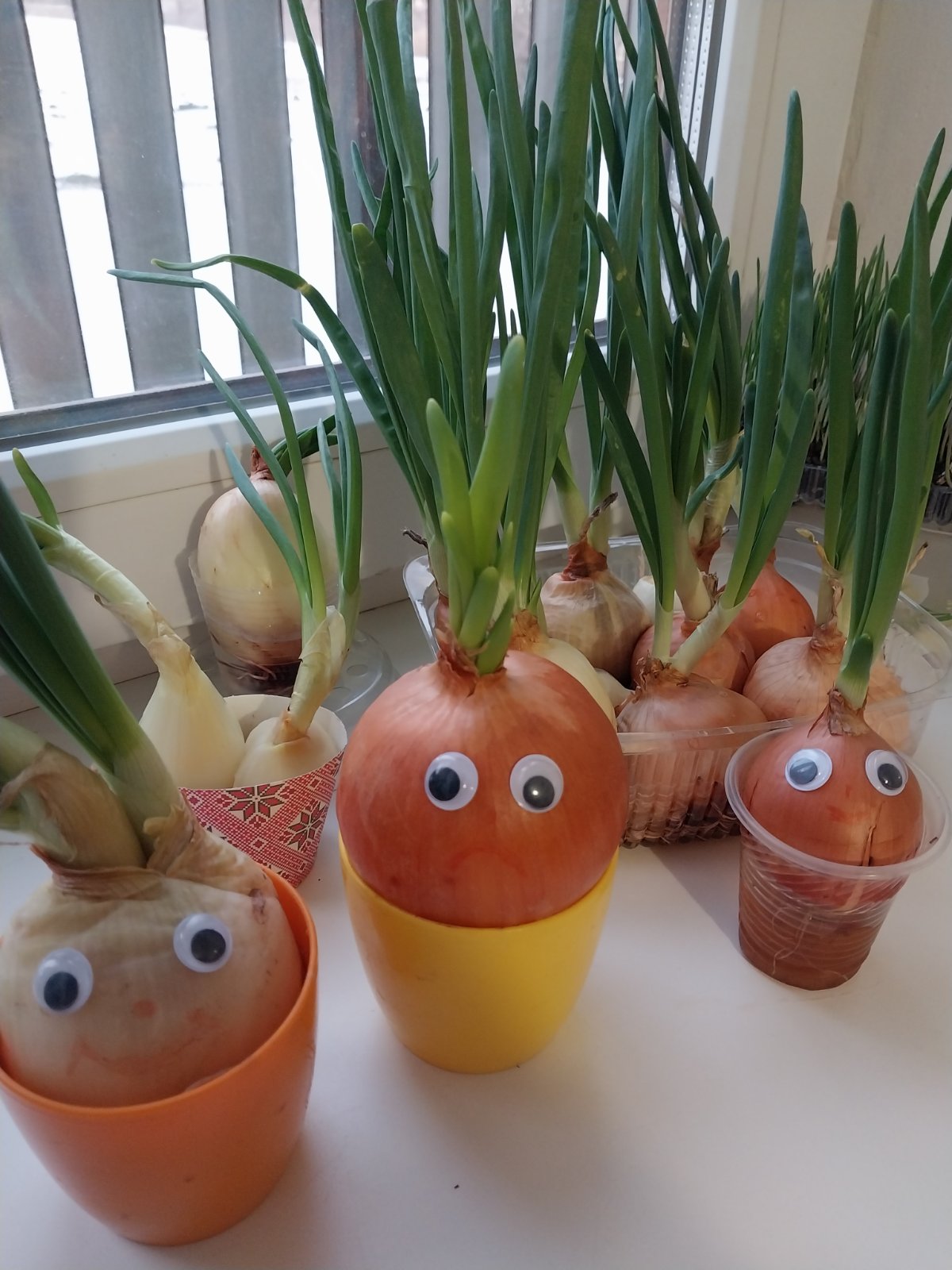 Фото без опису