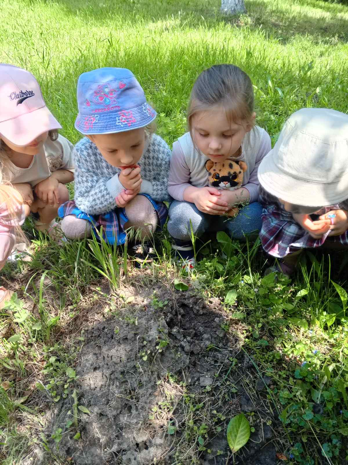 Фото без опису